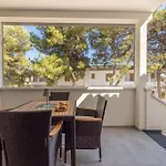 Aurora *